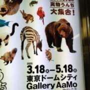 ヒメ日記 2025/04/03 14:29 投稿 かおり カワサキ EROTIC