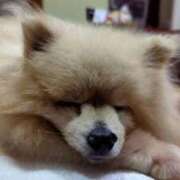 ヒメ日記 2025/04/14 18:57 投稿 かおり カワサキ EROTIC