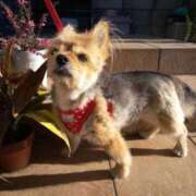 ヒメ日記 2025/05/15 15:19 投稿 かおり カワサキ EROTIC