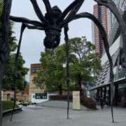 ヒメ日記 2025/05/25 12:11 投稿 かおり カワサキ EROTIC