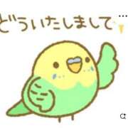 ヒメ日記 2025/05/28 17:59 投稿 かおり カワサキ EROTIC