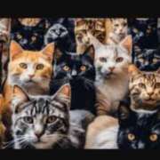 ヒメ日記 2025/06/20 02:17 投稿 かおり カワサキ EROTIC