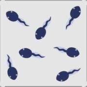 ヒメ日記 2025/06/28 04:32 投稿 かおり カワサキ EROTIC