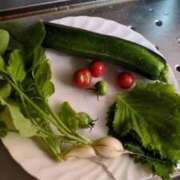 ヒメ日記 2025/07/04 00:21 投稿 かおり カワサキ EROTIC