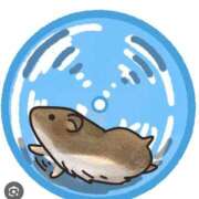 ヒメ日記 2025/07/06 23:46 投稿 かおり カワサキ EROTIC