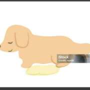 ヒメ日記 2025/07/08 13:51 投稿 かおり カワサキ EROTIC