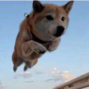 ヒメ日記 2025/08/09 19:28 投稿 かおり カワサキ EROTIC