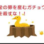 ヒメ日記 2025/10/01 07:00 投稿 かおり カワサキ EROTIC