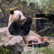 ヒメ日記 2025/10/04 15:17 投稿 かおり カワサキ EROTIC