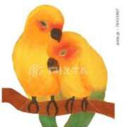 ヒメ日記 2025/10/11 00:41 投稿 かおり カワサキ EROTIC