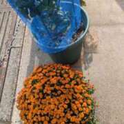 ヒメ日記 2025/10/13 20:43 投稿 かおり カワサキ EROTIC