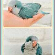 ヒメ日記 2025/10/19 04:50 投稿 かおり カワサキ EROTIC