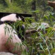 ヒメ日記 2025/10/19 18:23 投稿 かおり カワサキ EROTIC