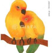 ヒメ日記 2025/10/21 12:04 投稿 かおり カワサキ EROTIC