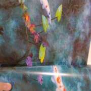 ヒメ日記 2025/10/23 20:05 投稿 かおり カワサキ EROTIC