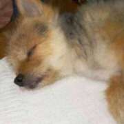 ヒメ日記 2025/10/25 00:30 投稿 かおり カワサキ EROTIC