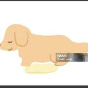 ヒメ日記 2025/10/26 14:30 投稿 かおり カワサキ EROTIC