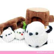 ヒメ日記 2025/10/27 08:14 投稿 かおり カワサキ EROTIC