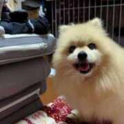 ヒメ日記 2025/10/30 10:15 投稿 かおり カワサキ EROTIC