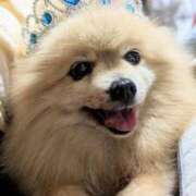 ヒメ日記 2025/11/01 01:28 投稿 かおり カワサキ EROTIC