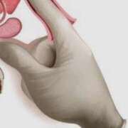 ヒメ日記 2025/11/06 03:48 投稿 かおり カワサキ EROTIC