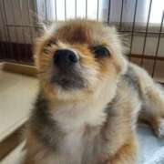 ヒメ日記 2025/11/06 13:47 投稿 かおり カワサキ EROTIC