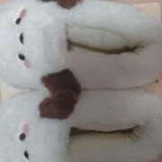 ヒメ日記 2025/11/11 07:19 投稿 かおり カワサキ EROTIC