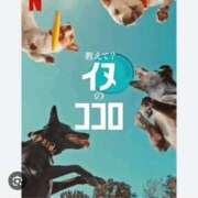 ヒメ日記 2025/11/15 06:11 投稿 かおり カワサキ EROTIC