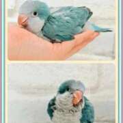 ヒメ日記 2025/11/27 08:01 投稿 かおり カワサキ EROTIC