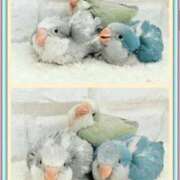 ヒメ日記 2025/12/03 20:27 投稿 かおり カワサキ EROTIC