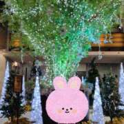 ヒメ日記 2025/12/11 06:16 投稿 かおり カワサキ EROTIC