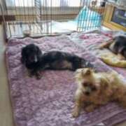 ヒメ日記 2025/12/28 18:34 投稿 かおり カワサキ EROTIC