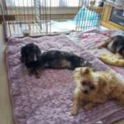 ヒメ日記 2026/02/11 15:53 投稿 かおり カワサキ EROTIC