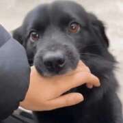 ヒメ日記 2026/03/05 14:02 投稿 かおり カワサキ EROTIC