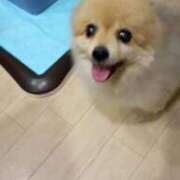ヒメ日記 2026/08/01 01:24 投稿 かおり カワサキ EROTIC