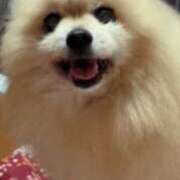 ヒメ日記 2026/08/20 04:20 投稿 かおり カワサキ EROTIC