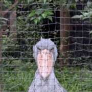 ヒメ日記 2026/10/05 06:03 投稿 かおり カワサキ EROTIC