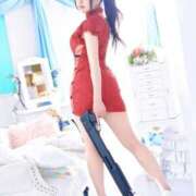 ヒメ日記 2025/04/22 09:43 投稿 おこめ チューリップ姫路店