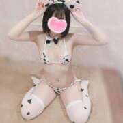 ヒメ日記 2026/02/09 14:11 投稿 ふゆか 新宿クリスタル