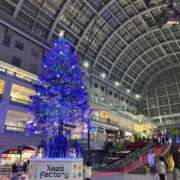 ヒメ日記 2025/11/12 09:13 投稿 KOKOMI（ここみ） UTAKATA