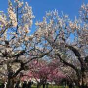 ヒメ日記 2026/02/21 07:13 投稿 KOKOMI（ここみ） UTAKATA