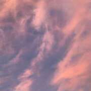 ヒメ日記 2025/01/12 11:41 投稿 ひなの if(イフ) 中村店