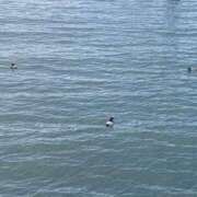 ヒメ日記 2025/07/07 14:45 投稿 ひなの if(イフ) 中村店