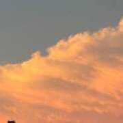 ヒメ日記 2025/08/14 19:25 投稿 ひなの if(イフ) 中村店