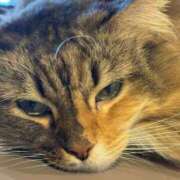 ヒメ日記 2025/12/31 08:07 投稿 ひなの if(イフ) 中村店