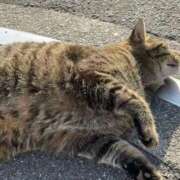 ヒメ日記 2026/02/26 08:35 投稿 ひなの if(イフ) 中村店