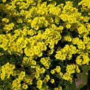 あゆな あゆなだよん～❣️ 奥様の実話 谷九店