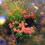 あゆな お礼💗 奥様の実話 谷九店