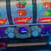 ヒメ日記 2025/11/05 10:29 投稿 てん AFTER V（アフターファイブ）