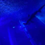 ヒメ日記 2025/02/02 13:23 投稿 まい 人妻倶楽部 内緒の関係 越谷店